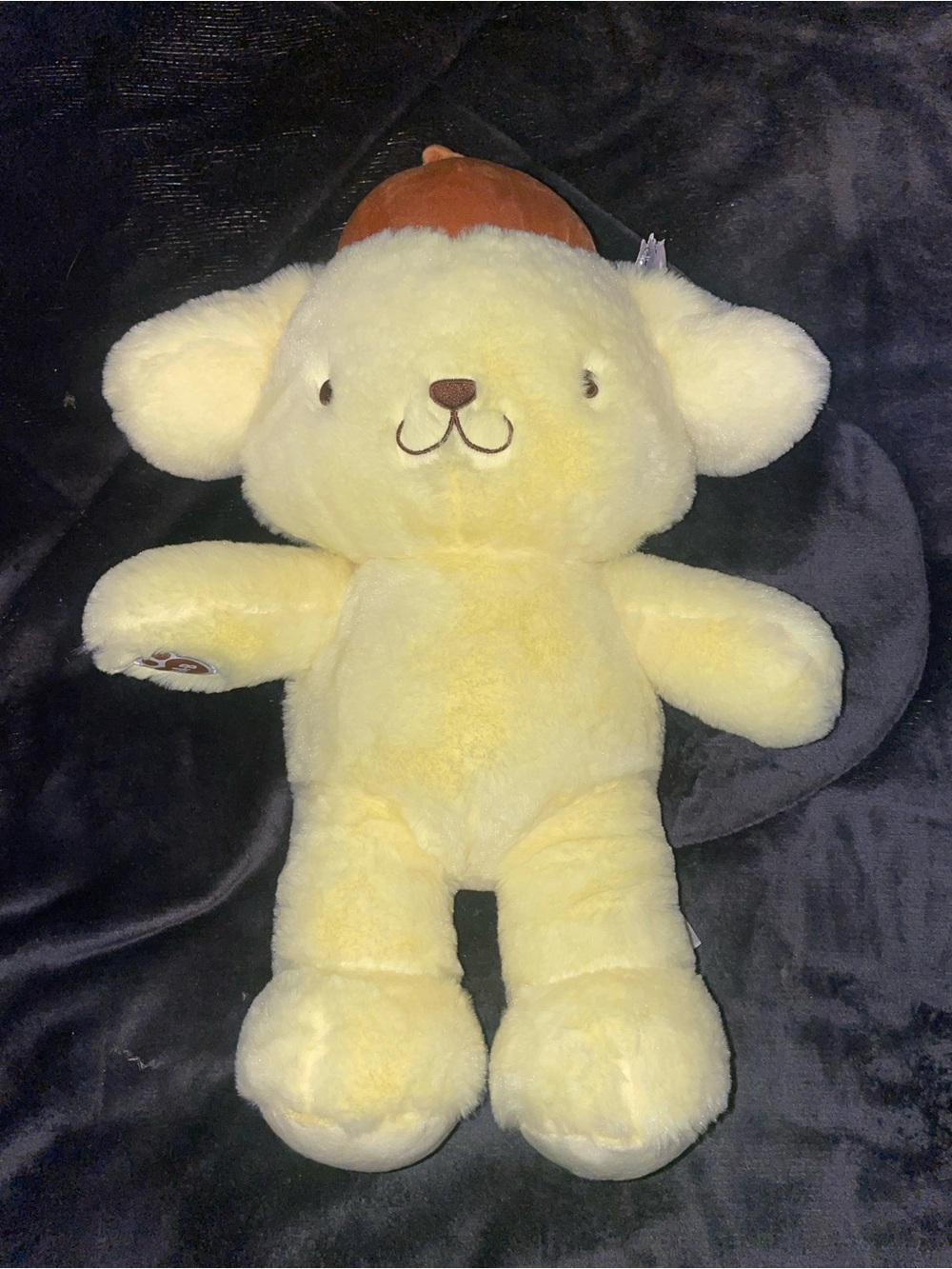 Pompom Build-A-Bear